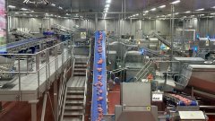 透偏激腿肠“降生记” 看智能产线若何守护舌尖